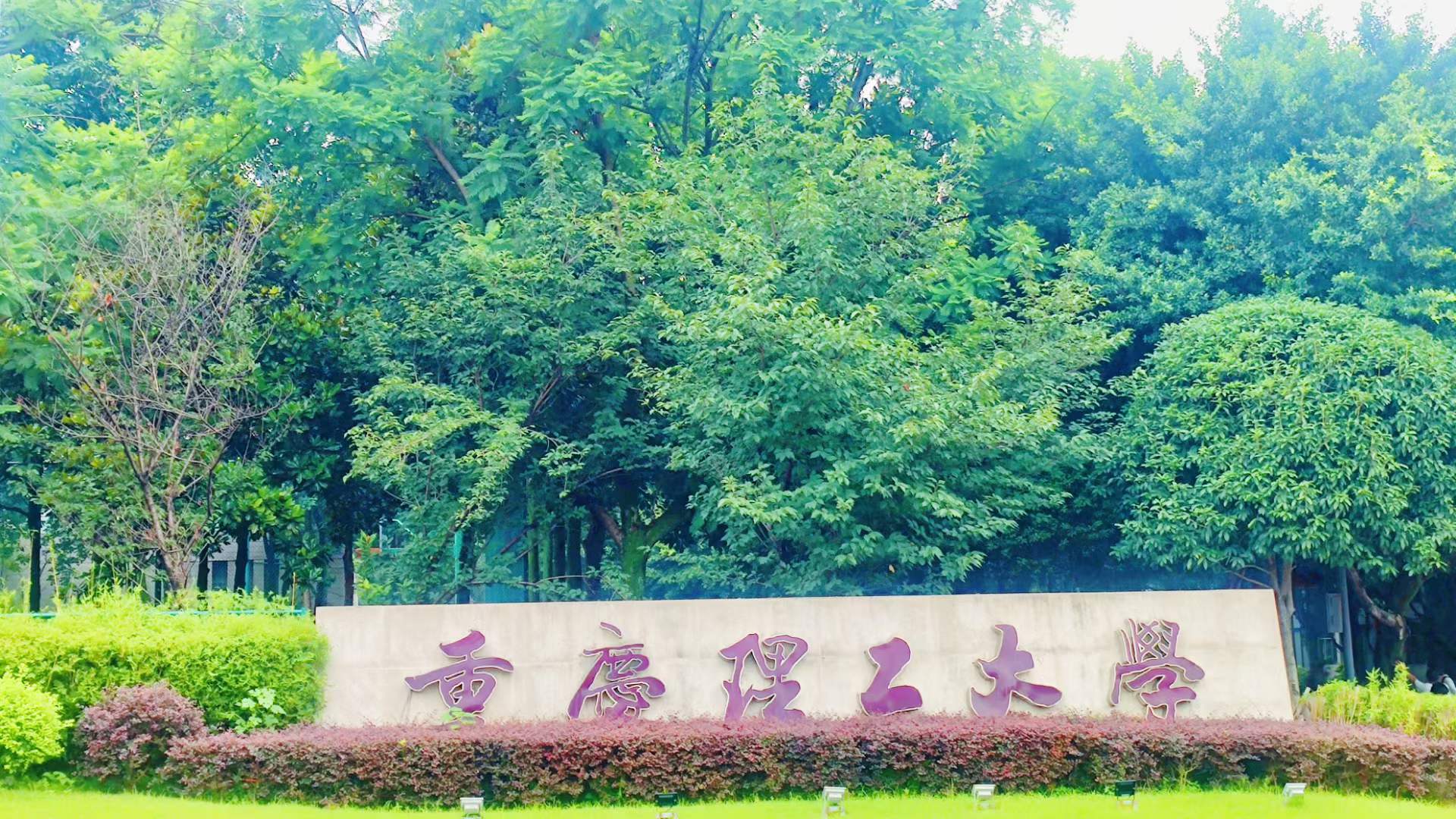 喜訊！evo真人视讯科技集團(tuán)與重慶理工大學(xué)產(chǎn)教融合項(xiàng)目成功簽約！